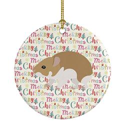 2.8 x 2.8 in. Unisex Turkish Hamster Christmas Ceramic Ornament