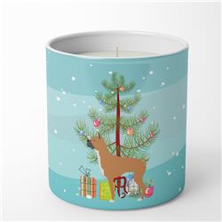 BB2971CDL 3.75 x 3.25 in. Unisex Boxer Merry Christmas Tree 10 oz Decorative Soy Candle