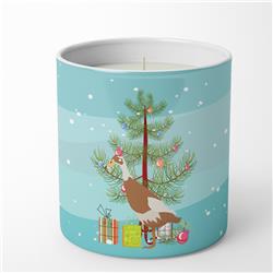BB9232CDL 3.75 x 3.25 in. Unisex Indian Runner Duck Christmas 10 oz Decorative Soy Candle, Teal