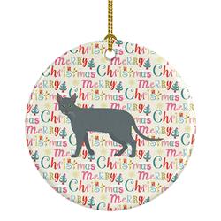 2.8 x 2.8 in. Unisex Raas Cat Christmas Ceramic Ornament