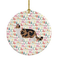 2.8 x 2.8 in. Unisex Ragamuffin No.2 Cat Christmas Ceramic Ornament