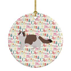 2.8 x 2.8 in. Unisex Ragdoll No.3 Cat Christmas Ceramic Ornament