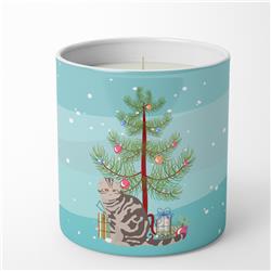3.75 x 3.25 in. Unisex Foldex Exotic Fold Cat Merry Christmas 10 oz Decorative Soy Candle