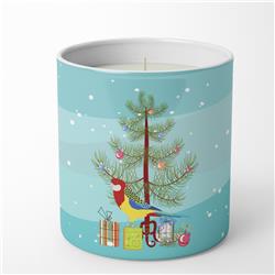 3.75 x 3.25 in. Unisex Rosella Merry Christmas 10 oz Decorative Soy Candle