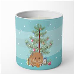3.75 x 3.25 in. Unisex Teddy Bear Hamster Merry Christmas 10 oz Decorative Soy Candle