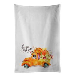 Picture of Carolines Treasures CK2607WTKT 28 x 19 in. Unisex Fall Harvest Bernese Mountain Dog White Dish Towels Kitchen Towel - Set of 2