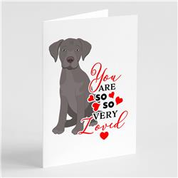 5 x 7 in. Unisex Labrador Retriever Gray Puppy So Loved Greeting Cards & Envelopes - Pack of 8 -  PartyPros, PA3455993