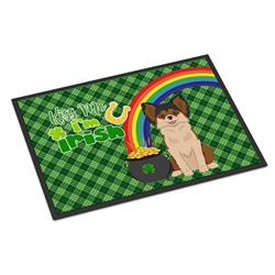 WDK4783JMAT 24 x 36 in. Longhaired Black & Red Chihuahua Saint Patricks Day Indoor or Outdoor Mat