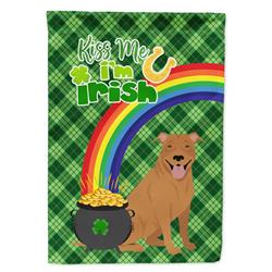 15.5 x 11.25 in. Red Pit Bull Terrier Saint Patricks Day Flag - Garden Size