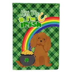 15.5 x 11.25 in. Ruby Cavalier Spaniel Saint Patricks Day Flag - Garden Size