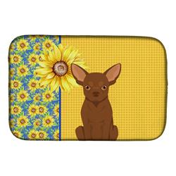 Picture of Carolines Treasures WDK5376DDM 21 x 14 in. Summer Sunflowers Chocolate Chihuahua Dish Drying Mat