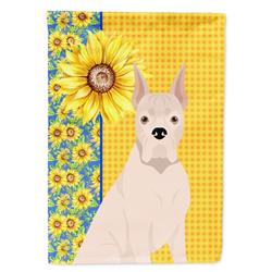 40 x 28 in. Summer Sunflowers White Boxer Canvas House Flag