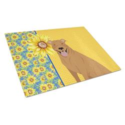 WDK5321LCB 15 x 12 in. Summer Sunflowers Red Pit Bull Terrier Glass Large Cutting Board