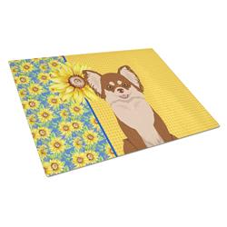 WDK5357LCB 15 x 12 in. Summer Sunflowers Longhaired Chocolate & White Chihuahua Glass Large Cutting Board
