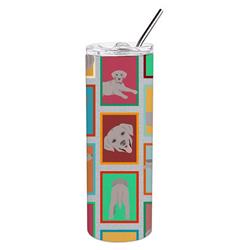 Picture of Carolines Treasures MLM1139TBL20 20 oz  Lots of Grey Labrador Retriever Stainless Steel Skinny Tumbler