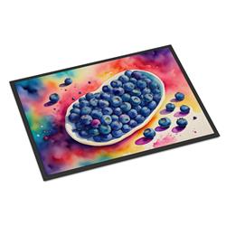 18 x 27 in. Unisex Colorful Blueberries Doormat