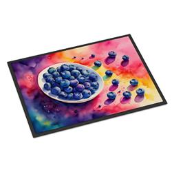 18 x 27 in. Unisex Colorful Blueberries Doormat