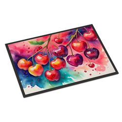 18 x 27 in. Unisex Colorful Cherries Doormat