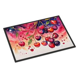 18 x 27 in. Unisex Colorful Cherries Doormat