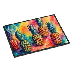 18 x 27 in. Unisex Colorful Pineapples Doormat