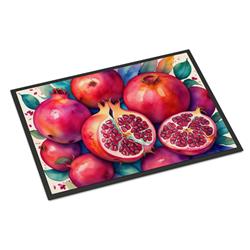 18 x 27 in. Unisex Colorful Pomegranates Doormat