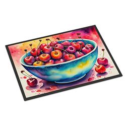 18 x 27 in. Unisex Colorful Cherries Doormat
