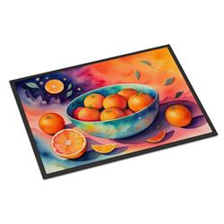 18 x 27 in. Unisex Colorful Oranges Doormat