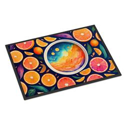 18 x 27 in. Unisex Colorful Oranges Doormat