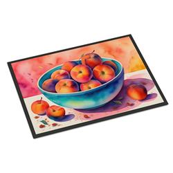 18 x 27 in. Unisex Colorful Peaches Doormat