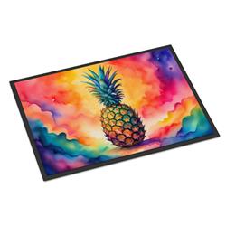 18 x 27 in. Unisex Colorful Pineapple Doormat