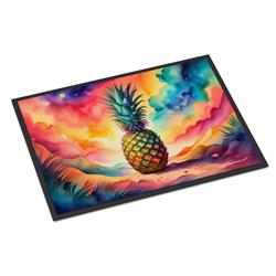 18 x 27 in. Unisex Colorful Pineapple Doormat
