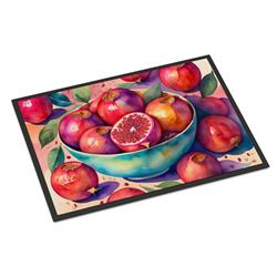 18 x 27 in. Unisex Colorful Pomegranates Doormat