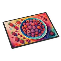 18 x 27 in. Unisex Colorful Raspberries Doormat