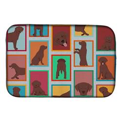 Picture of Carolines Treasures MLM1094DDM 21 x 14 in. Unisex Lots of Chocolate Labrador Retriever Dish Drying Mat