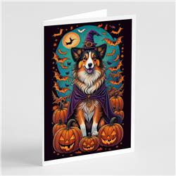 DAC1533GCA7P 5 x 7 in. Sheltie Witchy Halloween Greeting Cards & Envelopes - Pack of 8