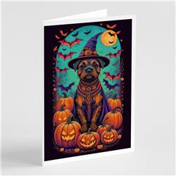 DAC1484GCA7P 5 x 7 in. Border Terrier Witchy Halloween Greeting Cards & Envelopes - Pack of 8