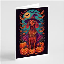 DAC1503GCA7P 5 x 7 in. Dachshund Witchy Halloween Greeting Cards & Envelopes - Pack of 8