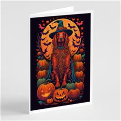 DAC1511GCA7P 5 x 7 in. Irish Setter Witchy Halloween Greeting Cards & Envelopes - Pack of 8
