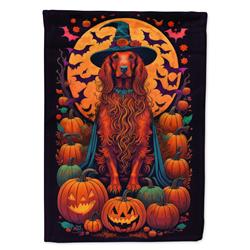 DAC1511CHF 40 x 28 in. Irish Setter Witchy Halloween House Flag