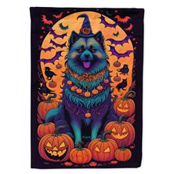 DAC1515CHF 40 x 28 in. Keeshond Witchy Halloween House Flag