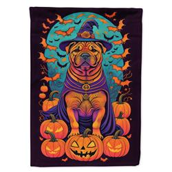 DAC1532CHF 40 x 28 in. Shar Pei Witchy Halloween House Flag