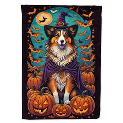DAC1533CHF 40 x 28 in. Sheltie Witchy Halloween House Flag