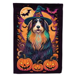 DAC1476CHF 40 x 28 in. Bearded Collie Witchy Halloween House Flag