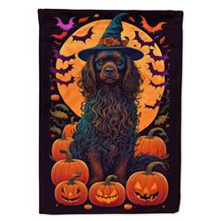DAC1489CHF 40 x 28 in. Boykin Spaniel Witchy Halloween House Flag