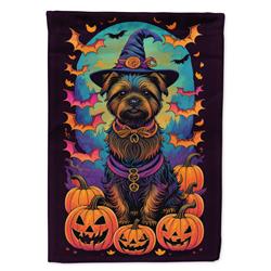 DAC1493CHF 40 x 28 in. Cairn Terrier Witchy Halloween House Flag