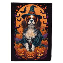 DAC1495CHF 40 x 28 in. Cavalier Spaniel Witchy Halloween House Flag