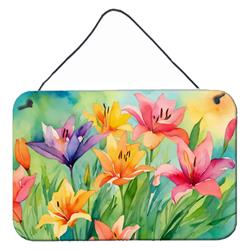 DAC1586DS812 12 x 8 in. Lilies in Watercolor Wall or Door Hanging Prints