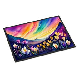 18 x 27 in. Unisex Crocus in Color Doormat