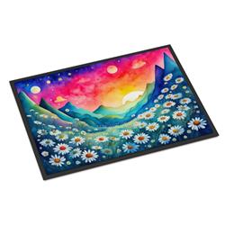 18 x 27 in. Unisex Daisies in Color Doormat