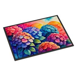 18 x 27 in. Unisex Hydrangeas in Color Doormat